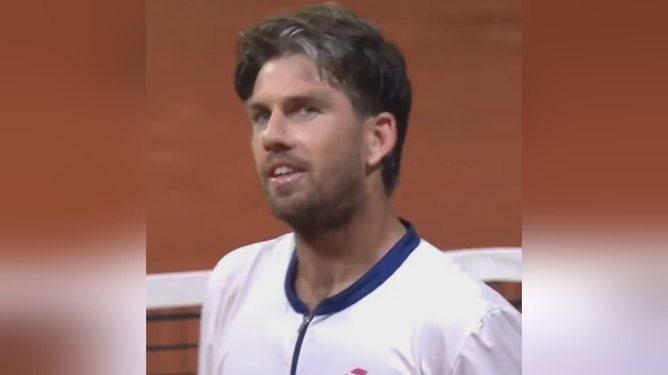 定性作用 定性作用