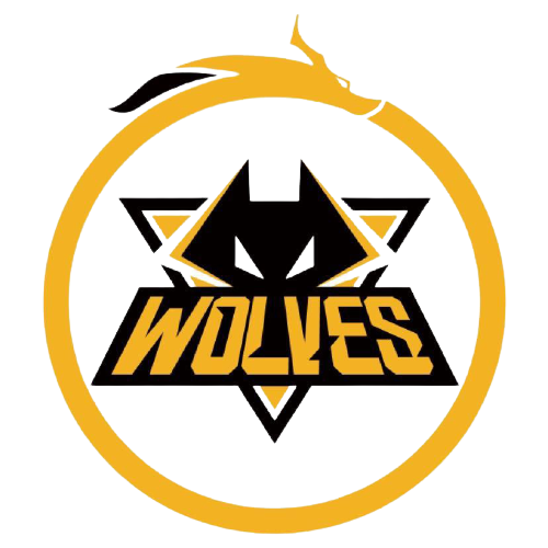 随即在现场 随即在现场